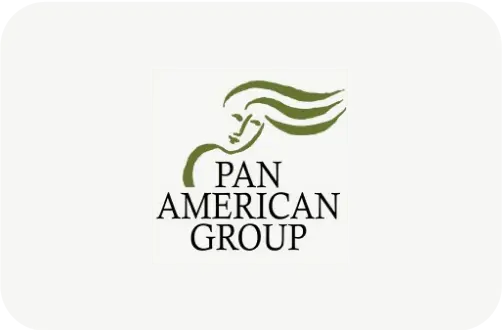 Pan American Group logo